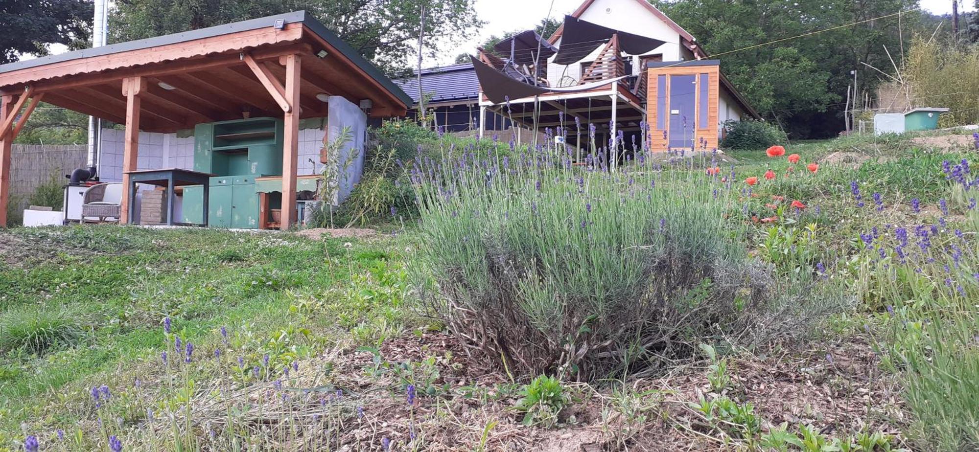 New Hope Land Apartman Nagymaros Exterior foto